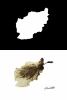 خاطره 2