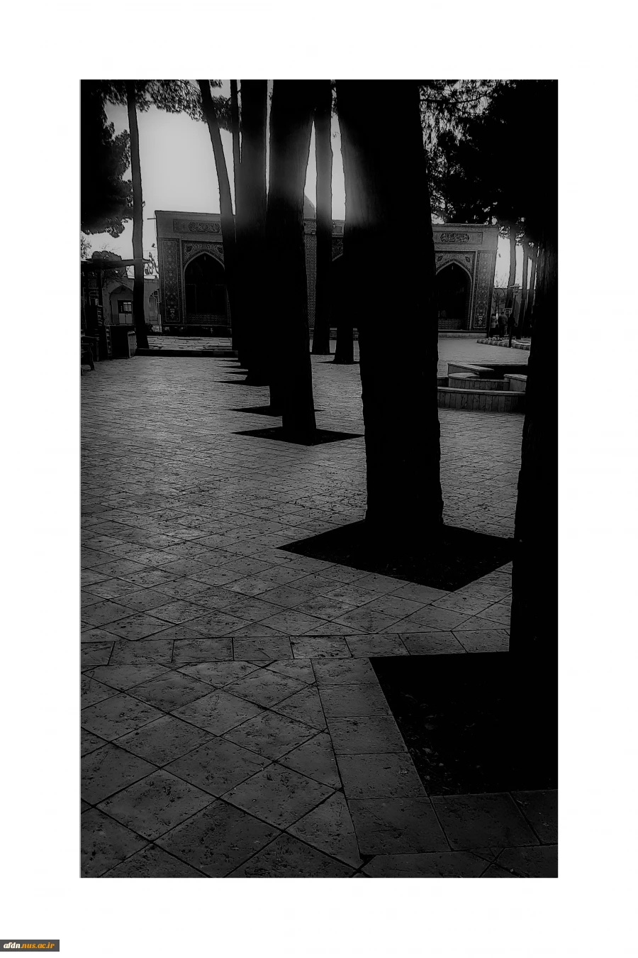 ساجده 3