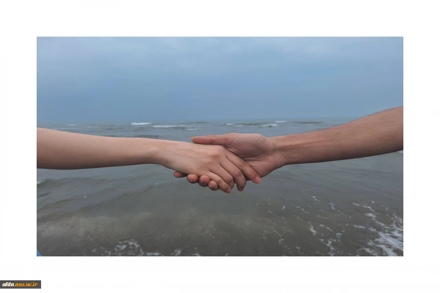 مائده 2