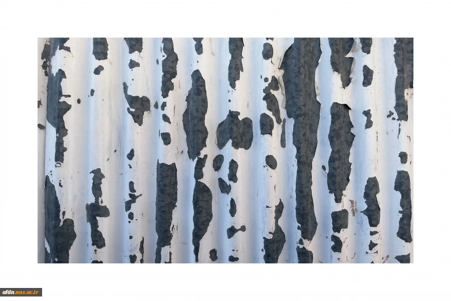 مبینا4