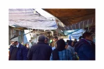مبینا3