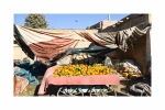 مبینا4