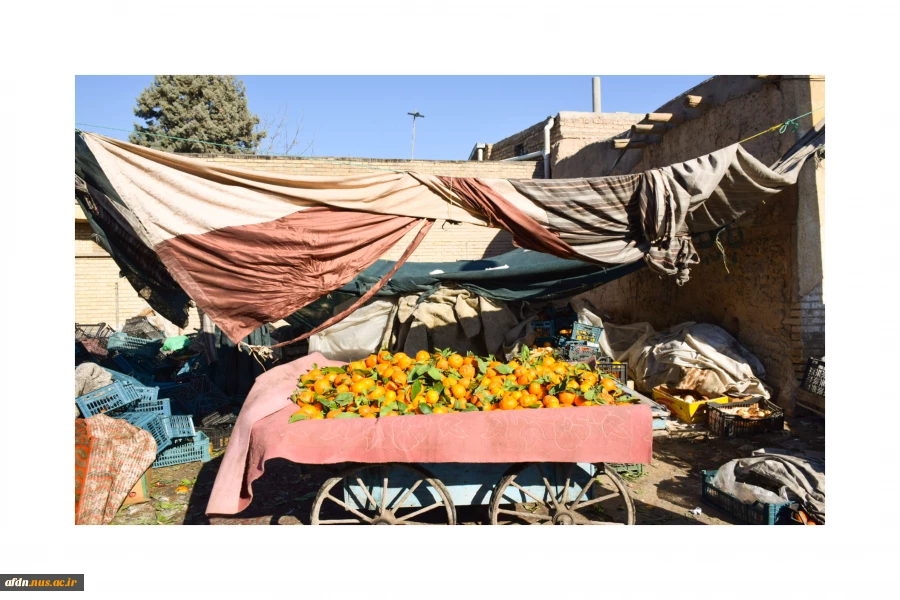 مبینا4