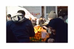 مبینا5