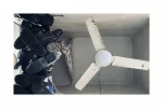 محدثه4