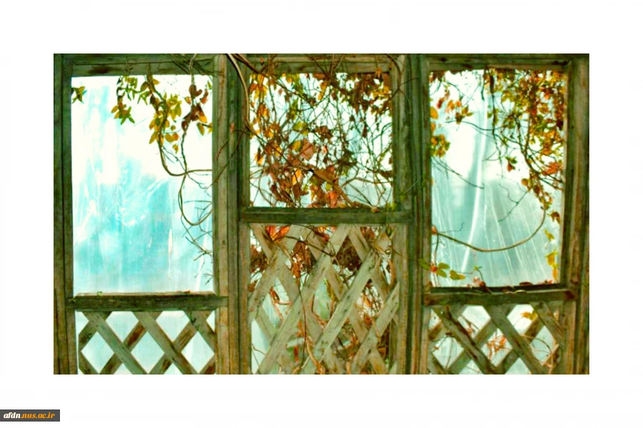 یاسمن4