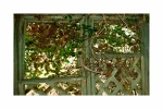 یاسمن5