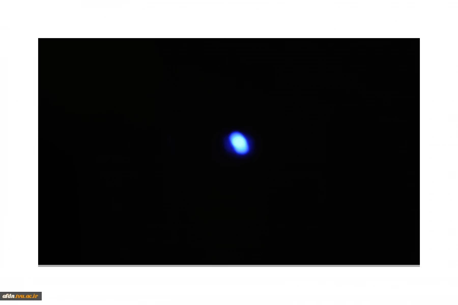 عکاسی مستند اجتماعی بهمن 1403 - یگانه بتوئی