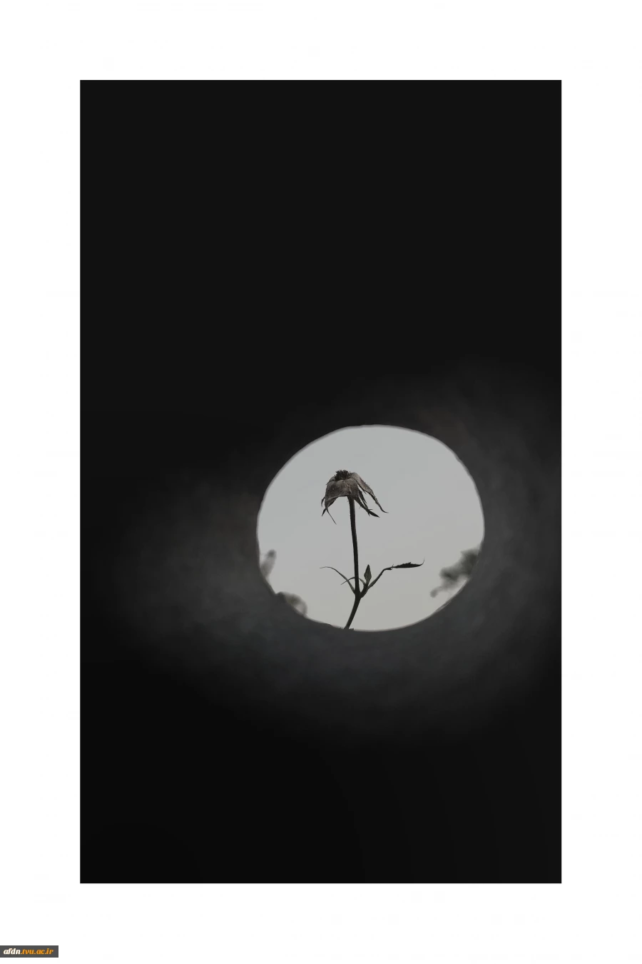 عکاسی مستند بهمن 1403 - مهدیس یوسف پور