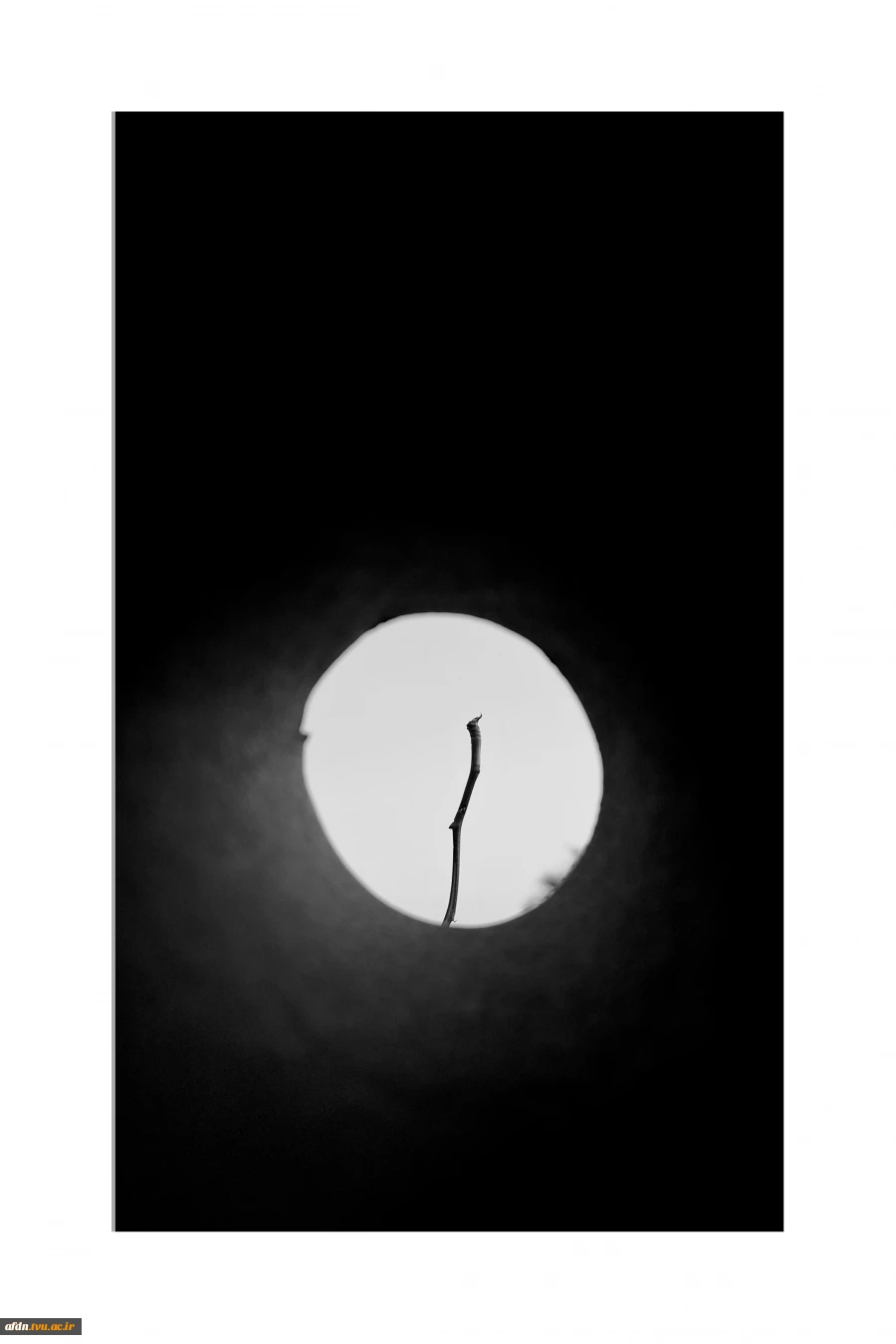 عکاسی مستند بهمن 1403 - مهدیس یوسف پور