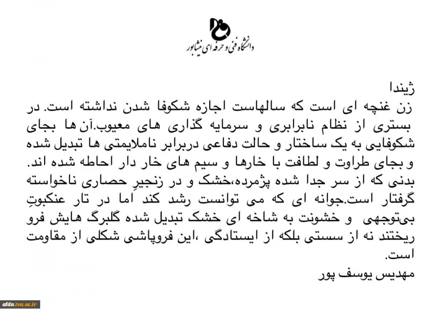 عکاسی مستند بهمن 1403 - مهدیس یوسف پور