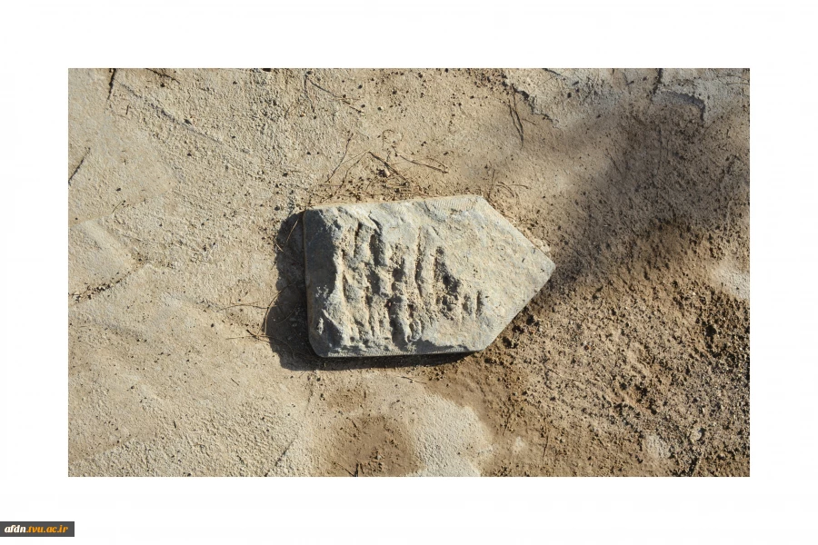 عکاسی مستند بهمن 1403 - سارا میمری