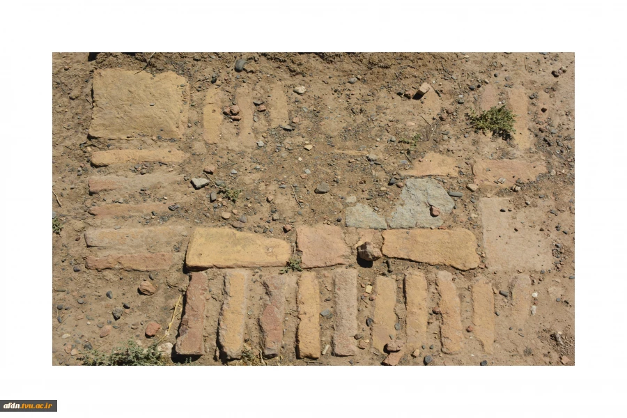 عکاسی مستند بهمن 1403 - سارا میمری