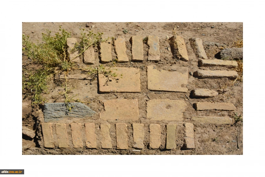 عکاسی مستند بهمن 1403 - سارا میمری