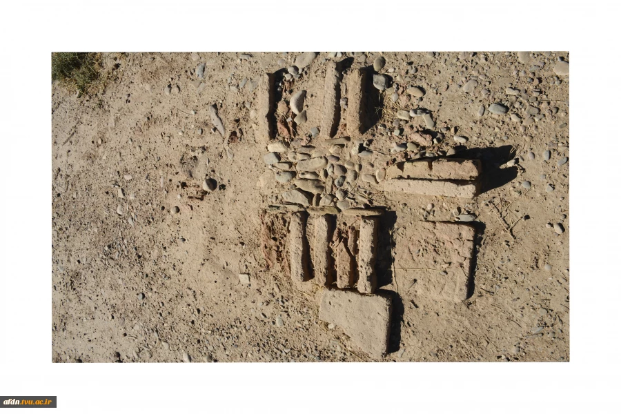 عکاسی مستند بهمن 1403 - سارا میمری