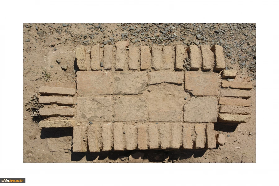 عکاسی مستند بهمن 1403 - سارا میمری