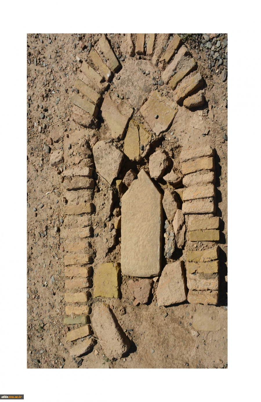 عکاسی مستند بهمن 1403 - سارا میمری