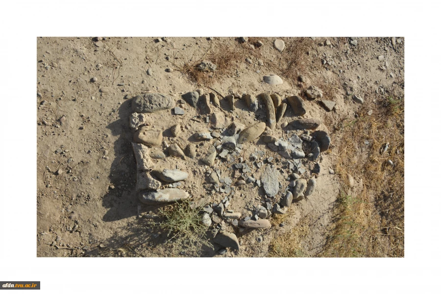 عکاسی مستند بهمن 1403 - سارا میمری