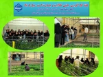 بازدید دانشجویان گیاهان دارویی آموزشکده دختران نیشابور به مناسبت هفته کار افرینی از مجتمع گلخانه ای پردیس صحرا 2