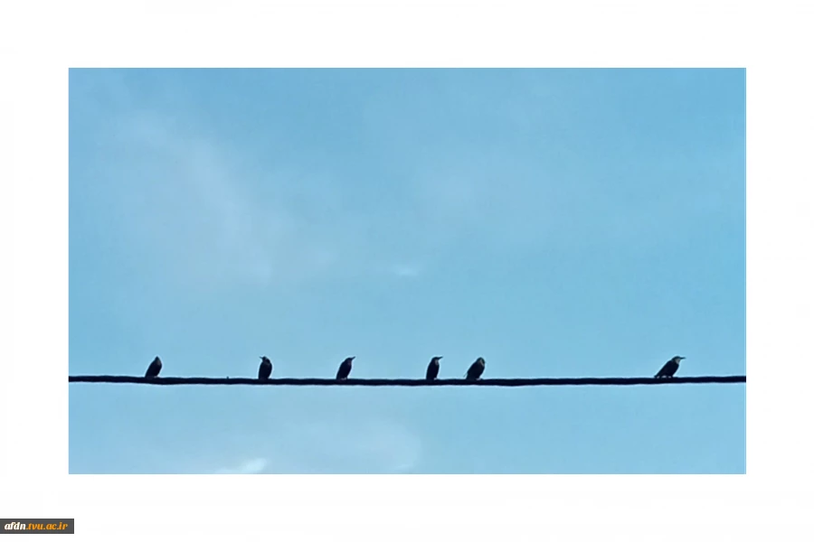 مستند1