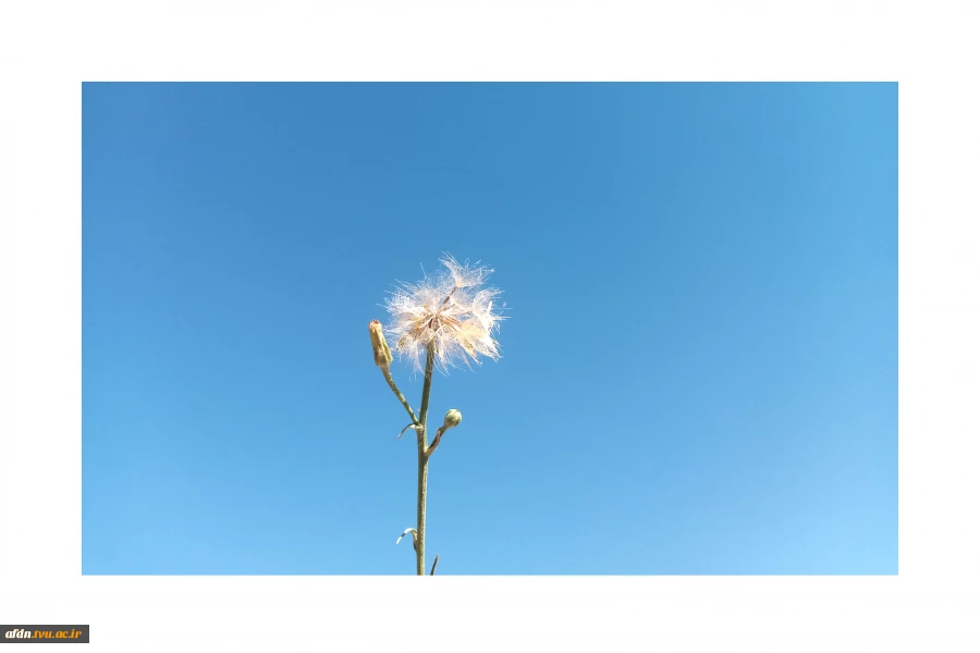 مستند1