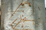 مستند6