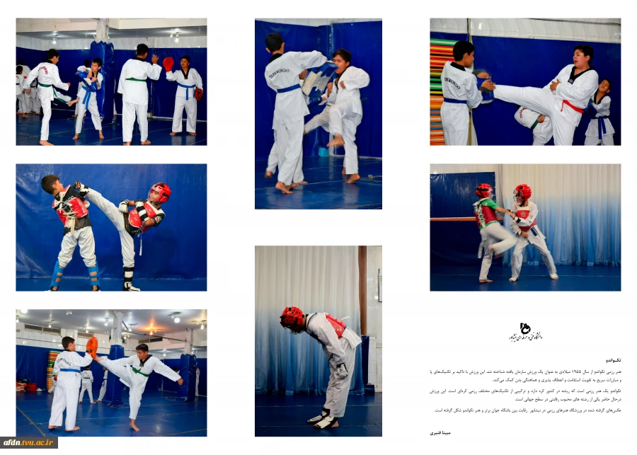 عکاسی ورزشی بهمن 1403